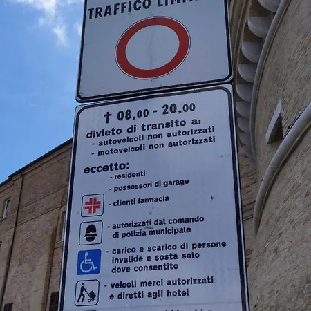 Delfino Azzurro
