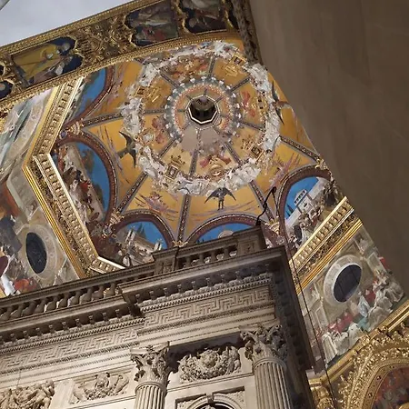 Delfino Azzurro Kro Loreto