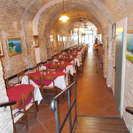 Delfino Azzurro