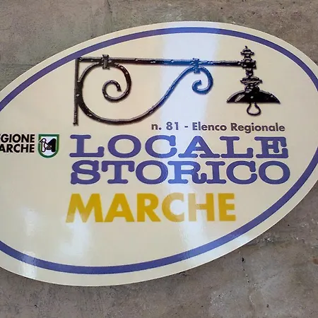 Delfino Azzurro Loreto