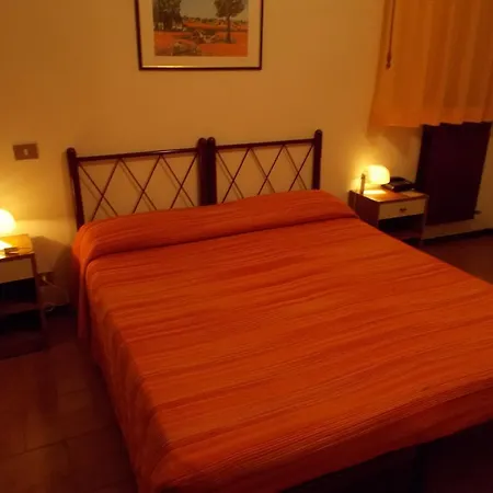 Delfino Azzurro Loreto