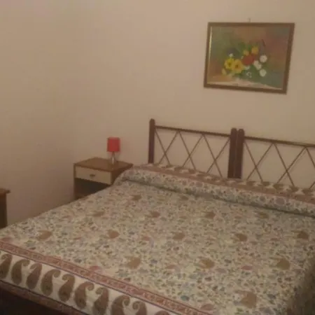 Delfino Azzurro Loreto