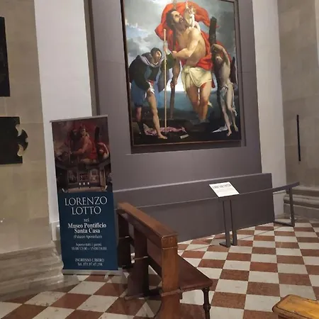 Delfino Azzurro Loreto