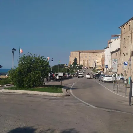 Delfino Azzurro Loreto