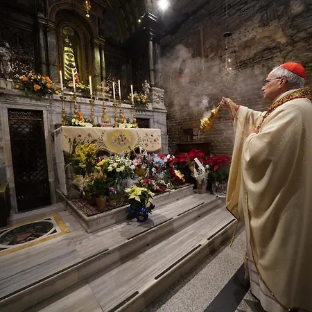 Delfino Azzurro 2* لوريتو