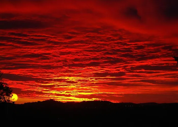 Inn Delfino Azzurro Loreto