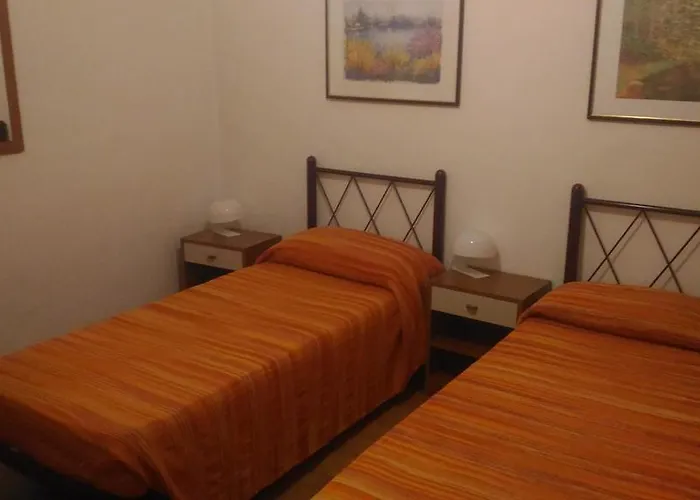 Delfino Azzurro Loreto